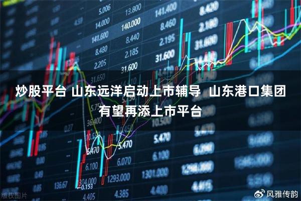 炒股平台 山东远洋启动上市辅导  山东港口集团有望再添上市平台